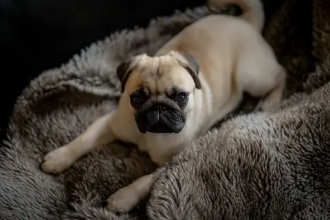 Buddy — 02
