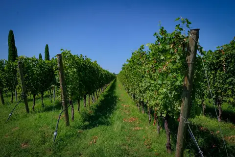 Italy — 13