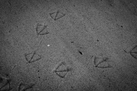 Santa Monica Beach — 02