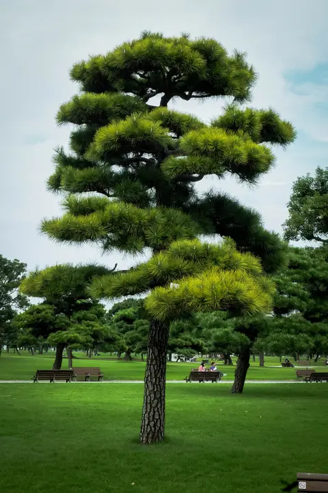 Tokyo — 09