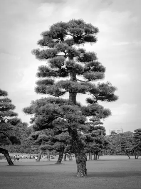 Tokyo — 21